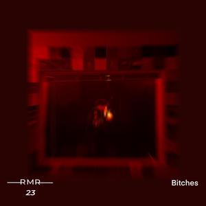 Bitches (Explicit)