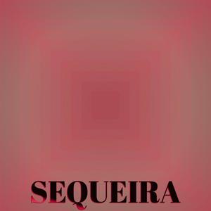 Sequeira