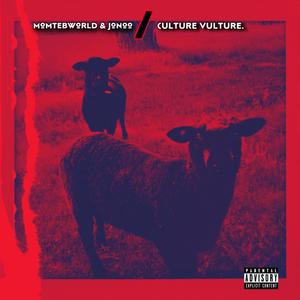 Culture Vulture (Explicit)