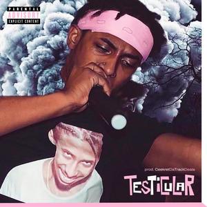 Testicular (Explicit)