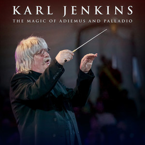 Palladio - arr. for Strings Orchestra - Jenkins: Palladio - arr. for Strings Orchestra: 1. Allegretto