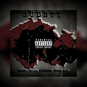 SUDETY (feat. Treffdakid, zlatymacko & Bipolar Toler) [Explicit]