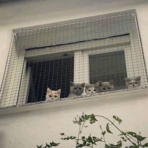 Whistle To These *****es Key (Explicit)