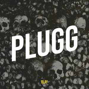 Plugg
