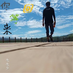 漠 (DJ版)