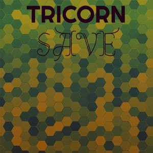 Tricorn Save