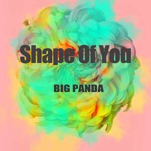 Shape of You (Acapella Version)