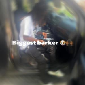 Biggest barker (Explicit)