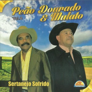 Sertanejo Sofrido : Vol.2