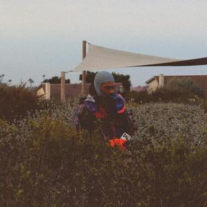 Dear Spring (Explicit)