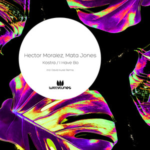 Kostra (David Aurel Remix)