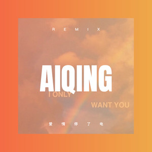 爱情停了电 (DJ版)