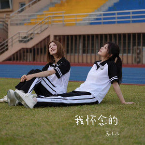 我怀念的 (伴奏)