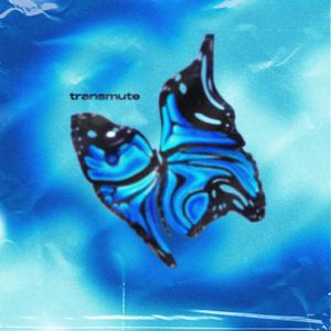 wrld(feat. Rochi Duggan)