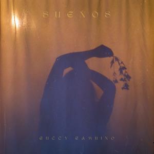 DESPIERTA (feat. THCBEATZ & SUENOS BEATS) (Explicit)