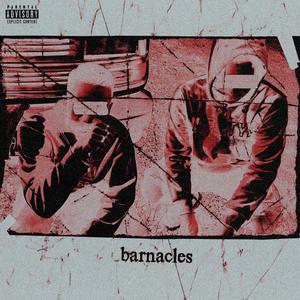 Barnacles(feat. Sybyr) (Explicit)