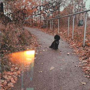 not me! (feat. coffin candy)