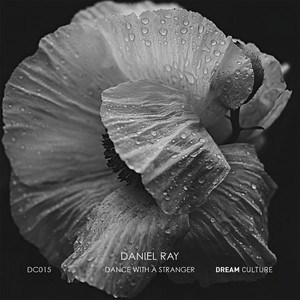 Dance With a Stranger (Original Mix)