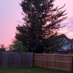 Doing The Right Thing (Explicit)