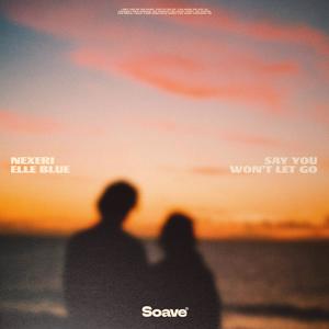 Say You Won't Let Go