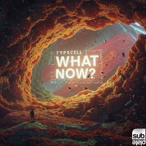 What Now? (Original Mix)