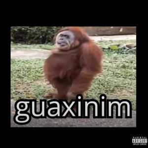 Guaxinim (Explicit)