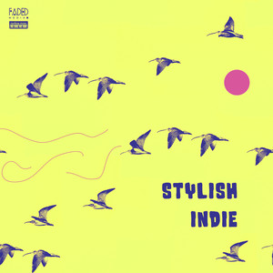 Stylish Indie