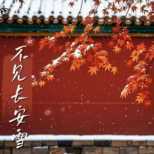 不见长安雪