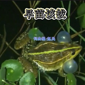 早苗该拔