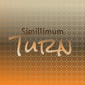 Simillimum Turn