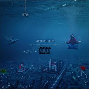 GUPPY II (feat. Asa Jake, Huaru & Cryptive) (Explicit)