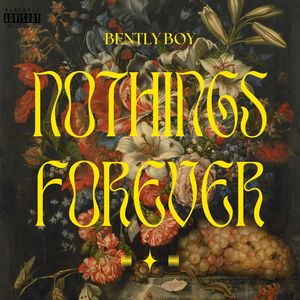 NOTHINGS FOREVER (Explicit)