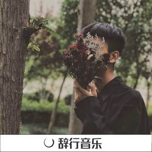 当你从我眼前慢慢走过