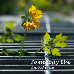 Somebody Else