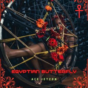 Egyptian Butterfly