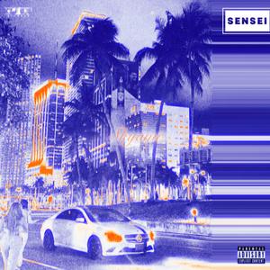 SKYAMI (Explicit)