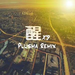 醒 (Plusma Remix)