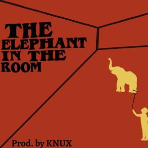 E.I.T.R (Elephant in the Room)