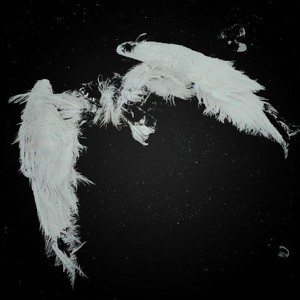 Lacuna (intro) (Explicit)