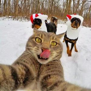 jack skellington (Explicit)