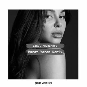 Gönül Meyhanesi (Remix)