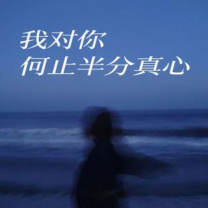 我对你何止半分真心 (伴奏)