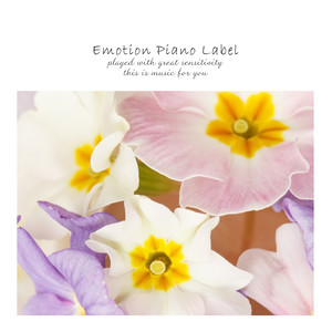 사랑의 노래 (A song of love)