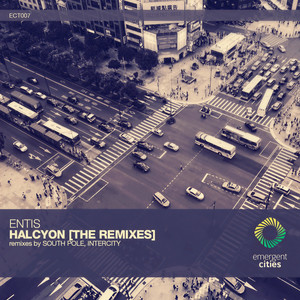 Halcyon (South Pole Remix)