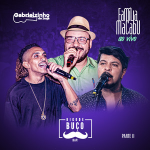 Já Passei Pelos Terreiros (Ao Vivo)