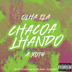 Olha Ela Chacoalhando a Xota (Explicit)