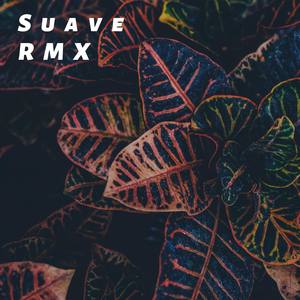 Suave (Remix) (Remix)