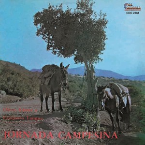 Olivo - Imponente Guaytara