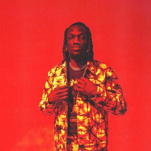 Nick Brace - TINTS IN THE SHADES (Explicit)