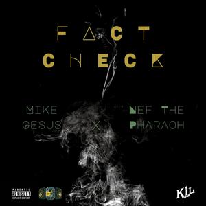 Fact Check (Explicit)
